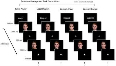 Language access differentially alters functional connectivity during emotion perception across cultures